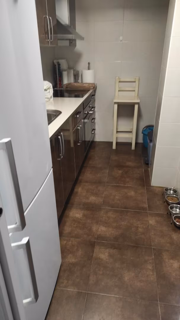 Piso en  Avenida de Carlos III 14 - Foto 5