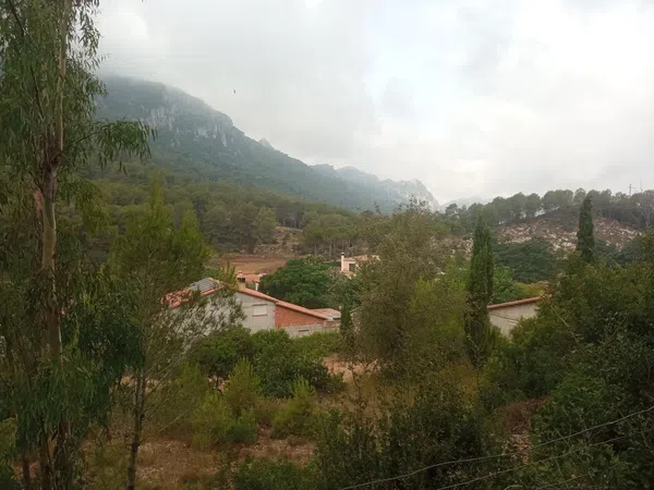 Finca rústica en Bancal domenec s/n - Foto 26