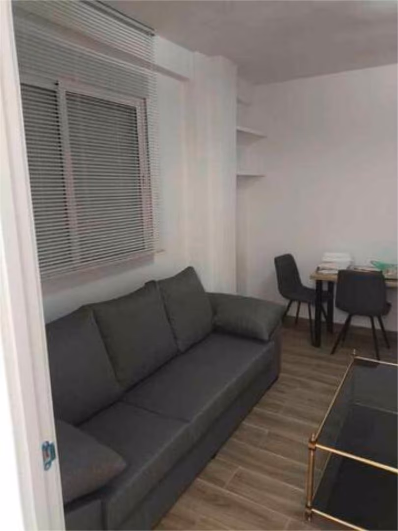 Estudio en Zaidin