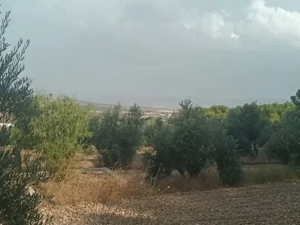 Cortijo en Cortijo en cortijo el cigaral s/n - Foto 18