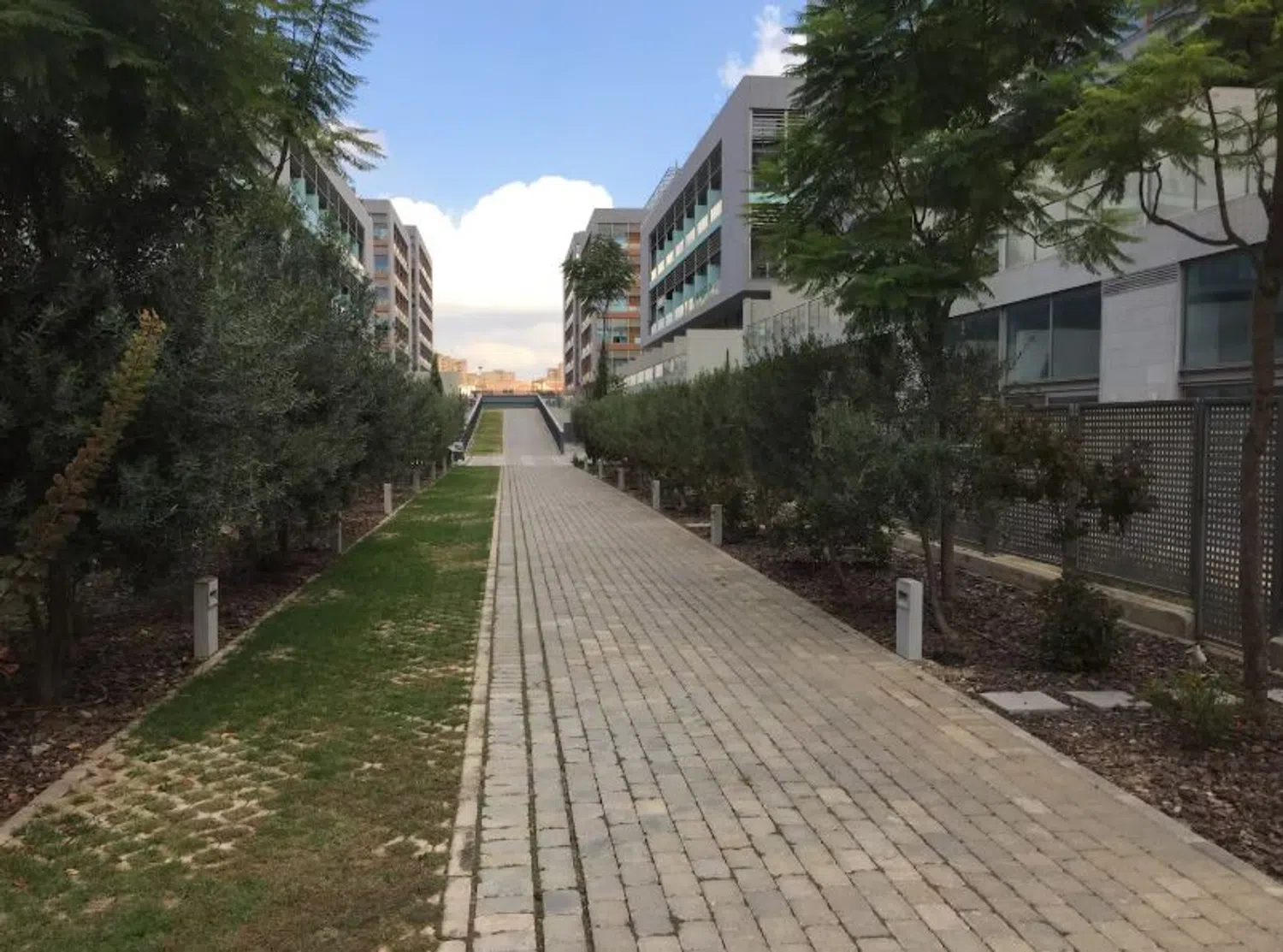 Estudio en calle de la Creu Roja, 1 - Foto 14