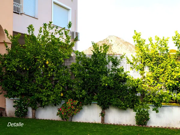 Chalet adosado en Calle Macizo Central, 60, Cerrado de Calderón - Hacienda Paredes - Foto 36