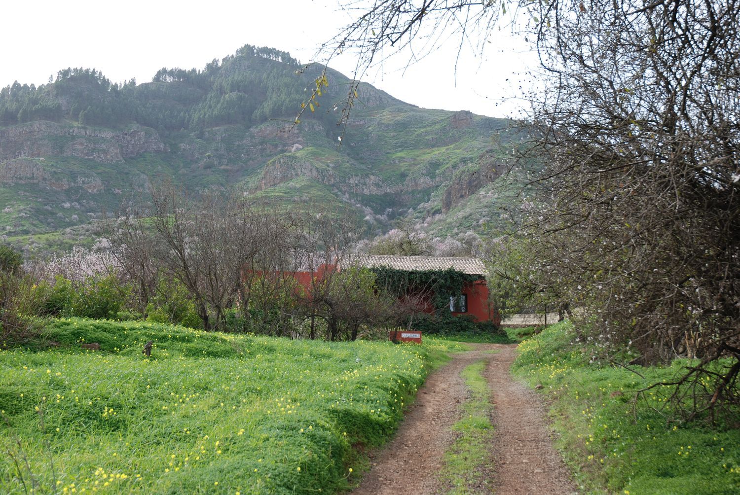 Casa o chalet independiente en Calle finca del pedregal s/n - Foto 26