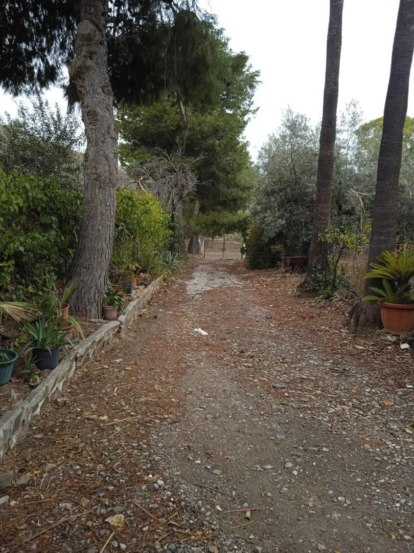 Finca rústica en  Calle Atlántida 242 - Foto 14