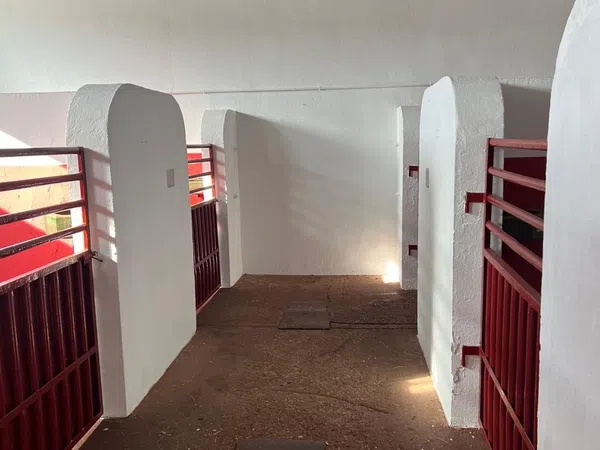 Finca rústica en Camino de Villalba de Los Alcores s/n - Foto 16