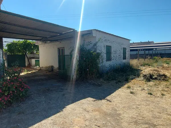 Finca rústica en Urbanización la Morena s/n, Patrocinio - Nueva Talavera, Patrocinio - Nueva Talavera - Foto 1