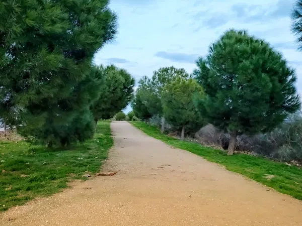 Ático en Barrio Marazuela- El Torreón - Foto 15