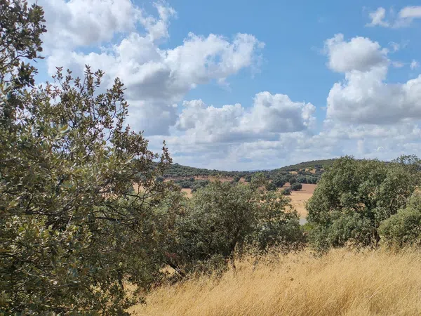 Cortijo en Camino de la Carretera de Almuradiel s/n - Foto 14
