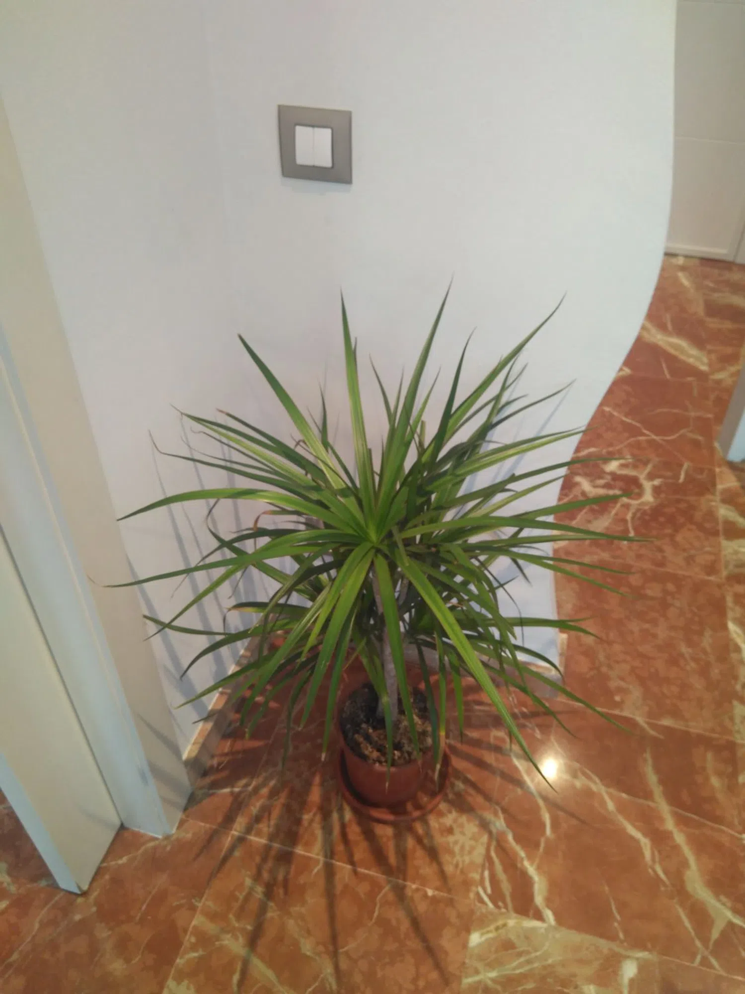 Dúplex en Barrio La Raiosa - Foto 18