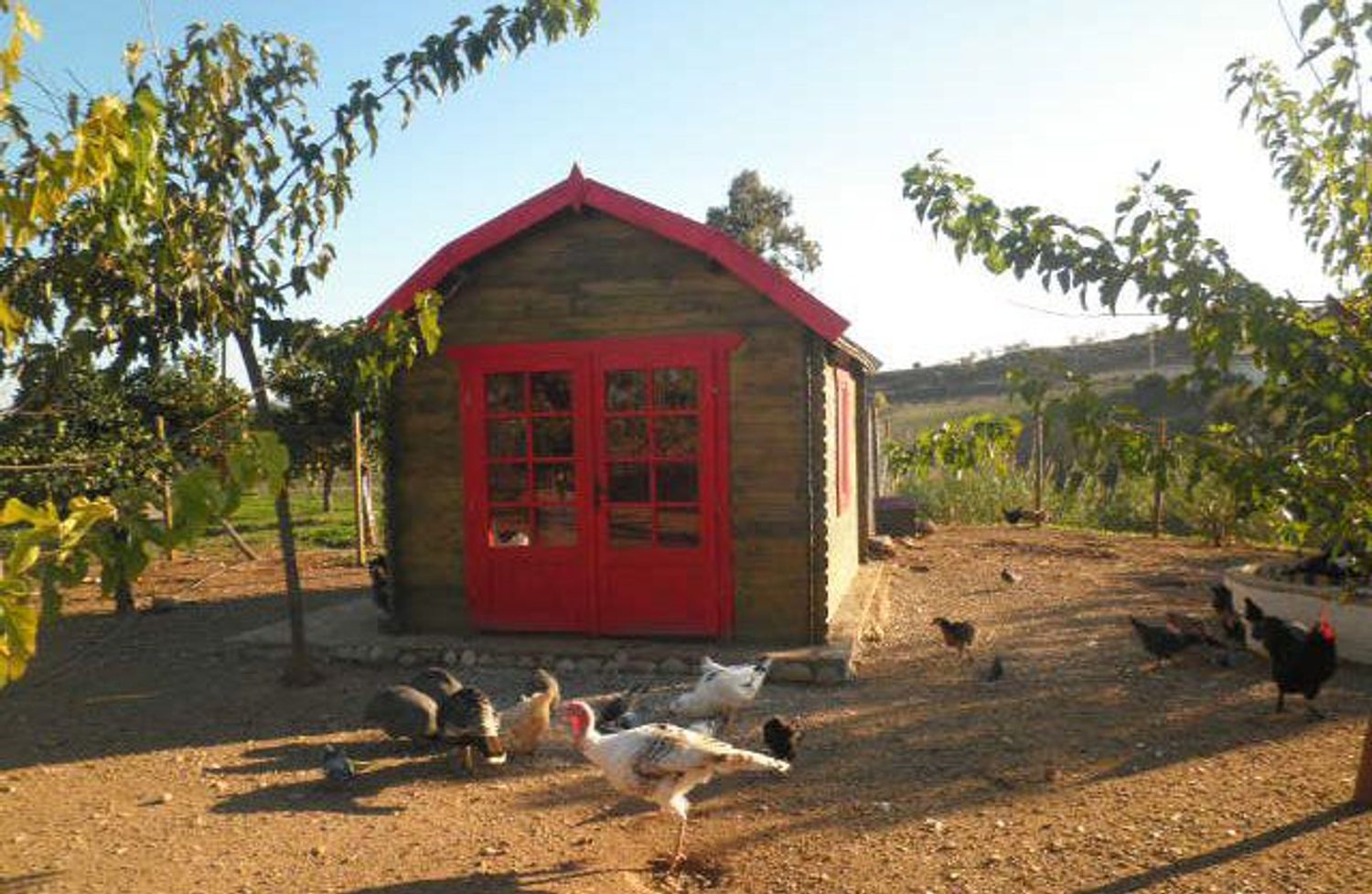 Casa rural en Paraje Amasaderos, 200 - Foto 4