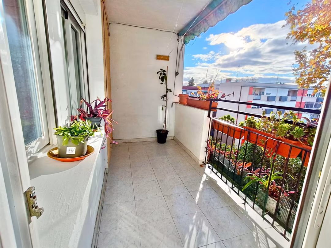 Piso en  Colonia Occidente 8 - Foto 10