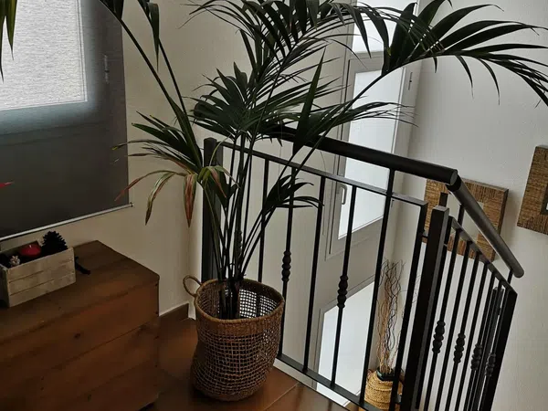 Chalet pareado en calle del Ressol s/n - Foto 19