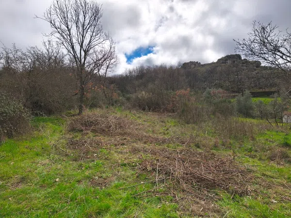 Finca rústica en Poblado los Arroyos de Abajo, 39 poligonoparcela - Foto 34