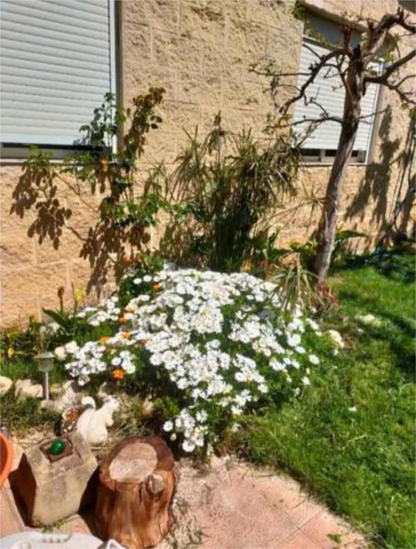 Chalet en Club Camping Bohalar (garrapinillos - Foto 3