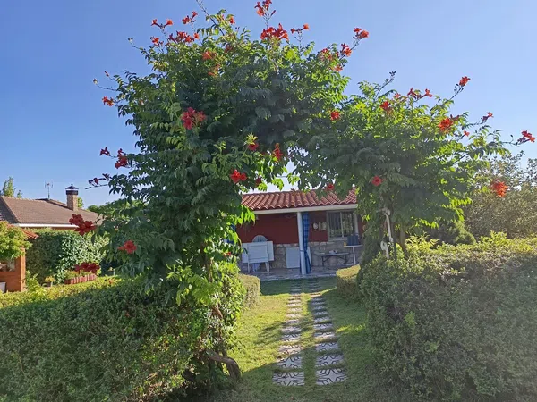 Casa o chalet independiente en Huelmos de San Joaquín s/n - Foto 4