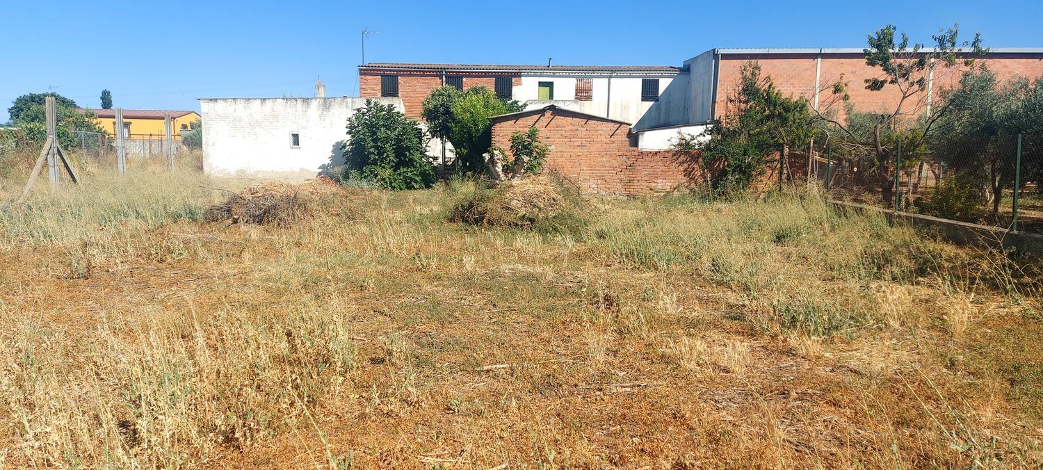 Finca rústica en Urbanización la Morena s/n, Patrocinio - Nueva Talavera, Patrocinio - Nueva Talavera - Foto 4