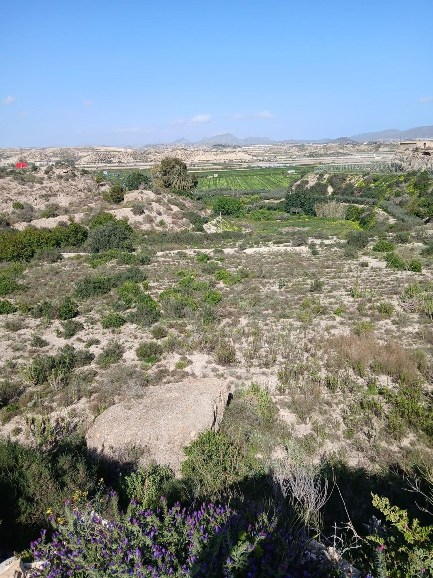 Cortijo en Barriada las Cunas s/n - Foto 13