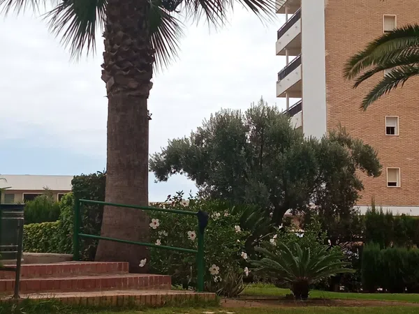 Estudio en Avenida Nord, 6, Playa de Gandia, Playa de Gandia - Foto 19