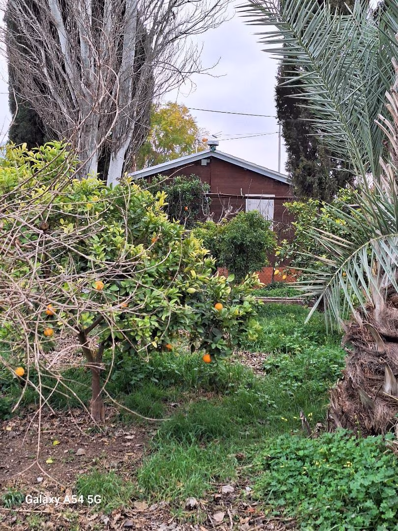 Planta baja en  Rincón de San Antón 3D - Foto 7