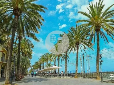 Local comercial en Badalona - Foto 12