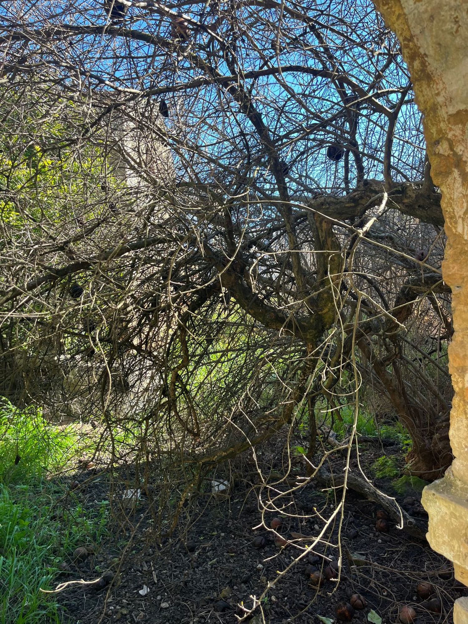 Casa de pueblo en P.Domínguez García, 86 - Foto 12