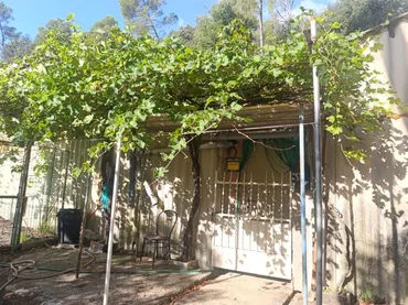 Nave Industrial en  Camí de Can Sardà 44 - Foto 11