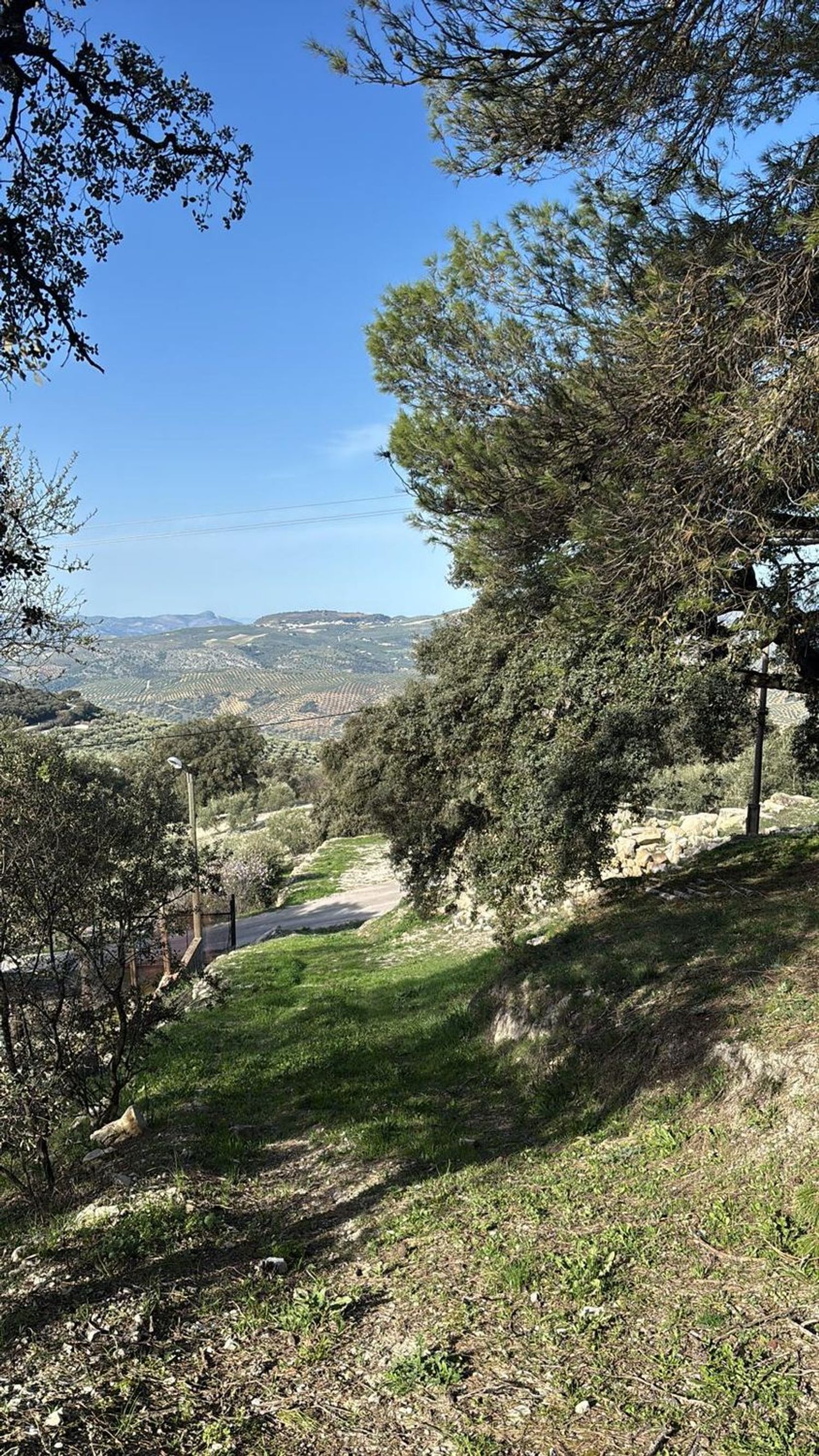 Cortijo en Cortijo en ventorros de san jose s/n - Foto 7