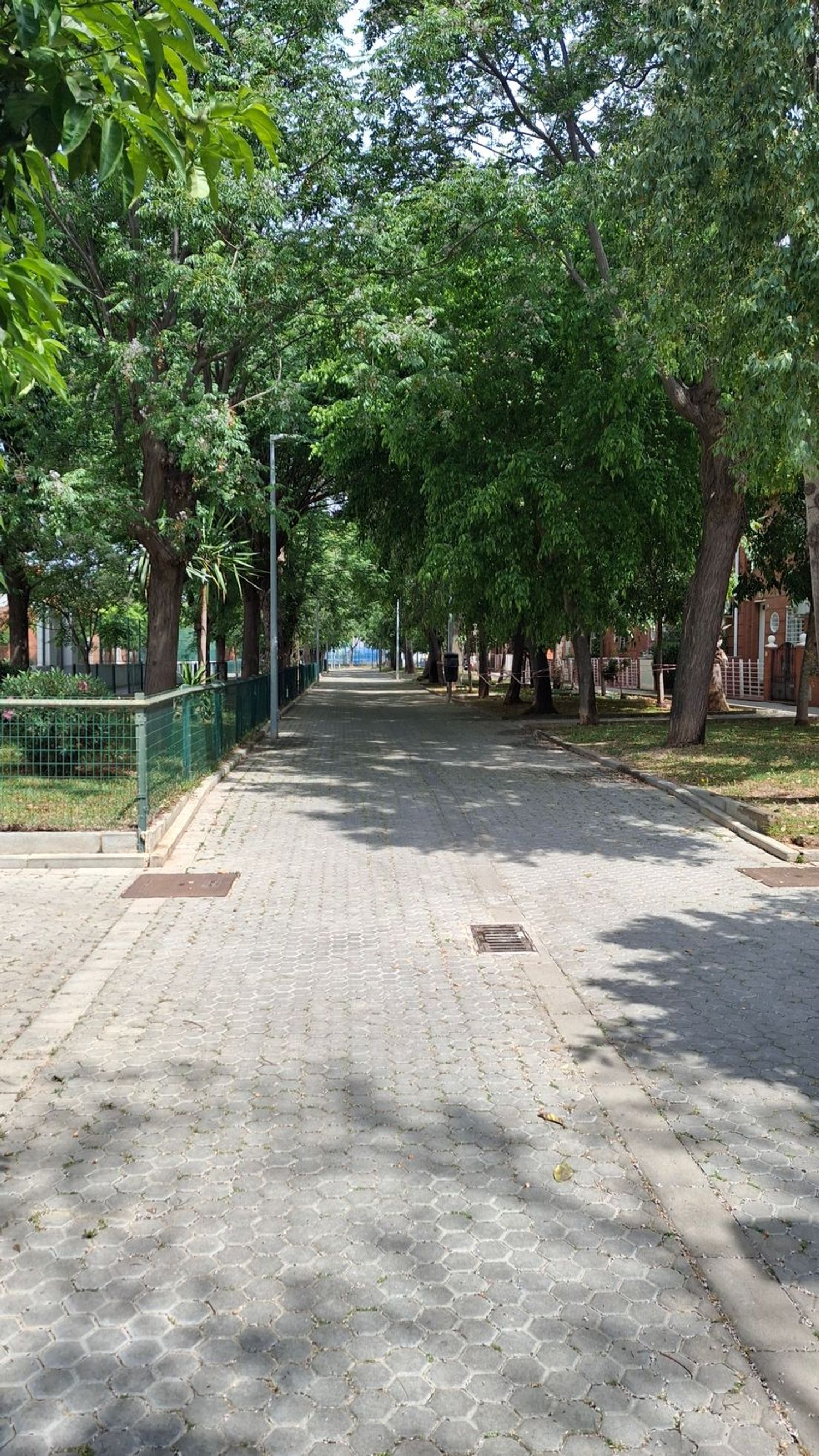 Chalet adosado en Avenida de las Ciencias - Foto 39