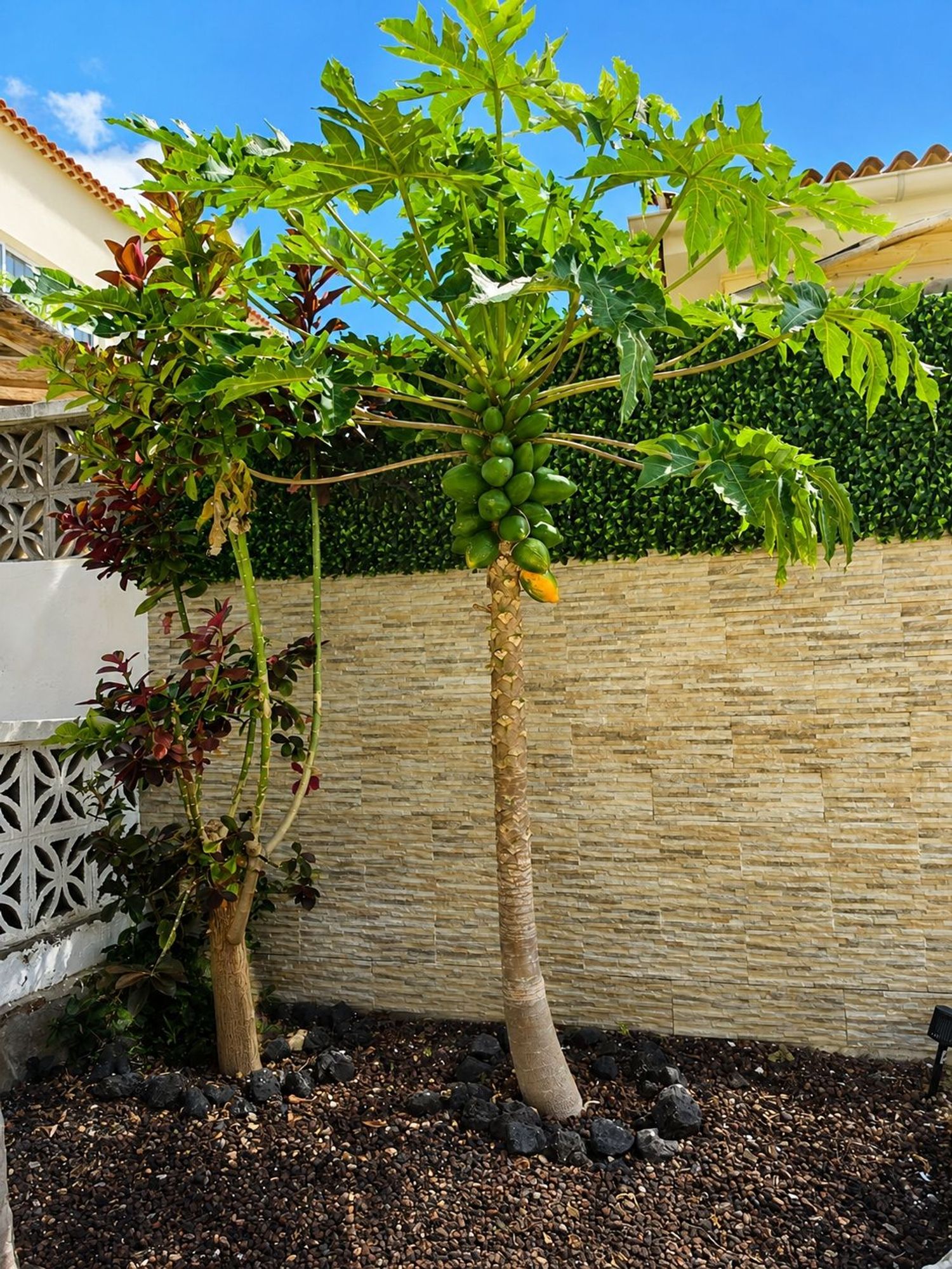 Casa o chalet independiente en Urbanizacion la Primavera, 162 - Foto 4
