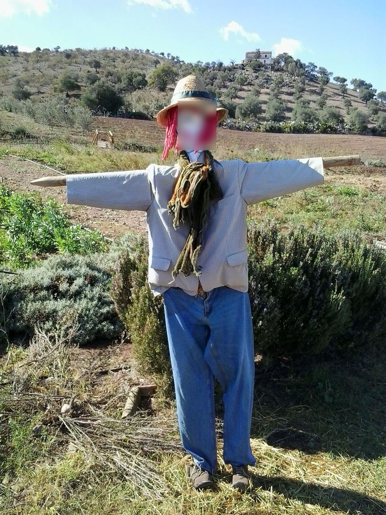 Casa rural en Paraje Amasaderos, 200 - Foto 12