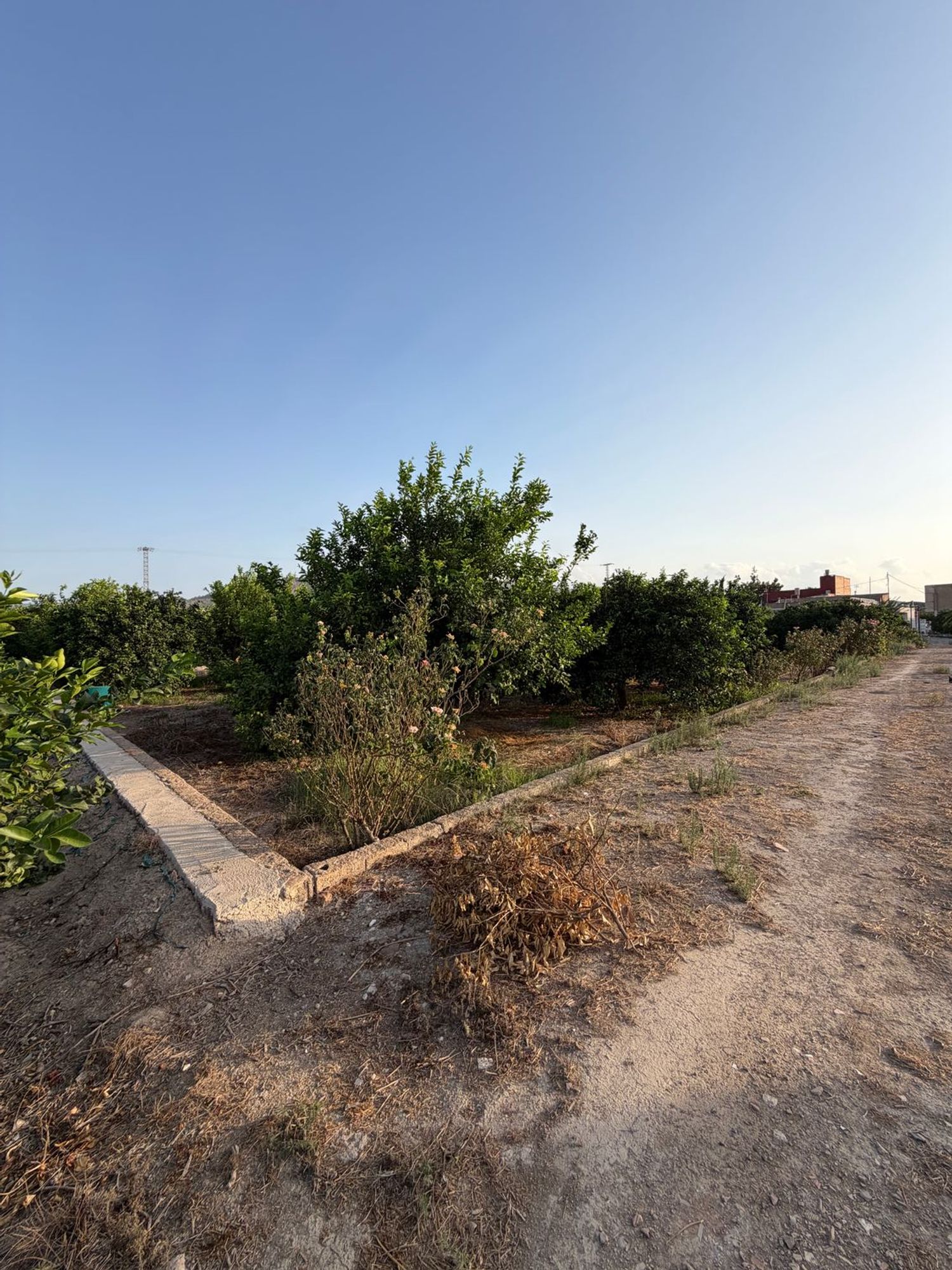 Finca rústica en Camino de los Plazas, 16, San José de la Vega - Foto 39