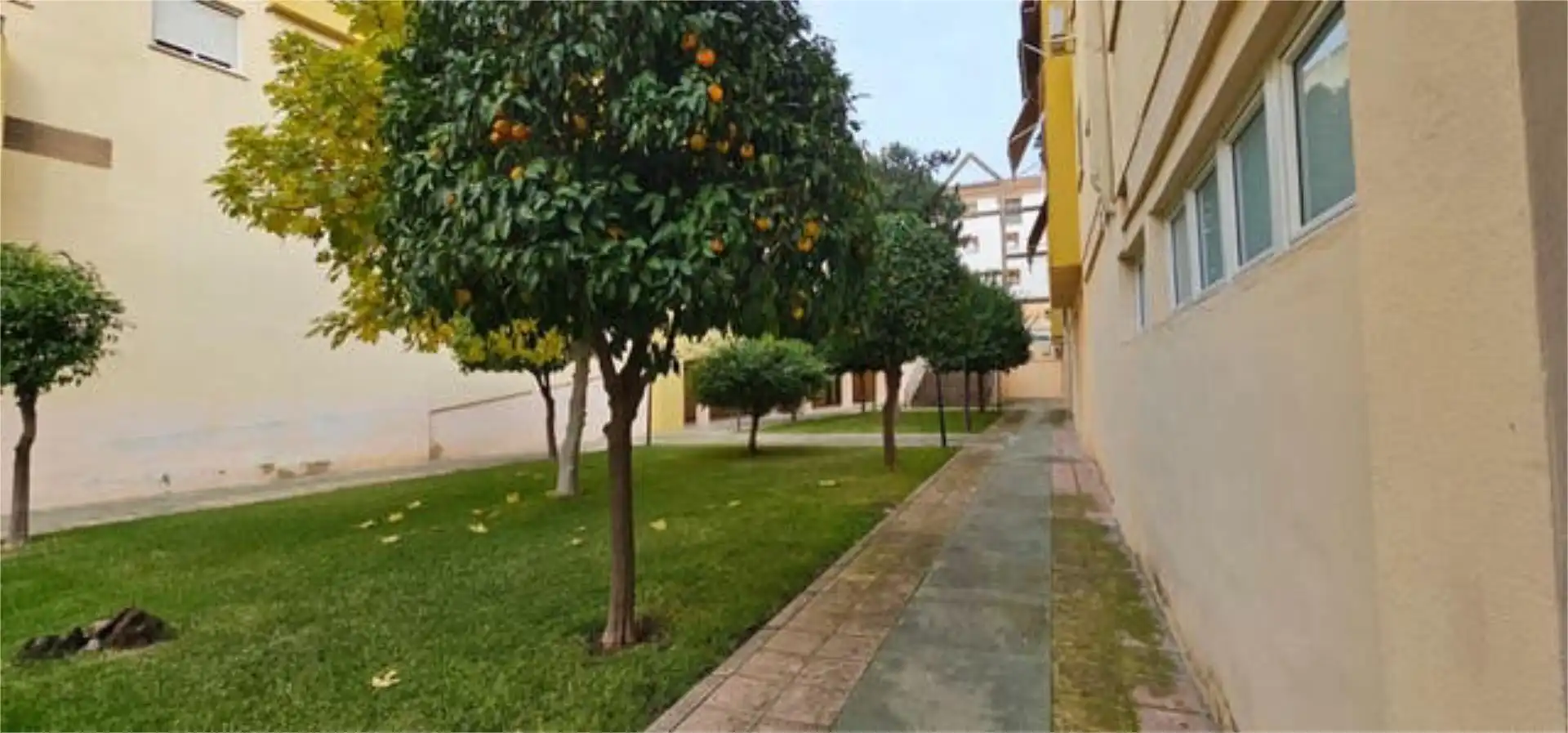 Apartamento en Centro - Foto 8
