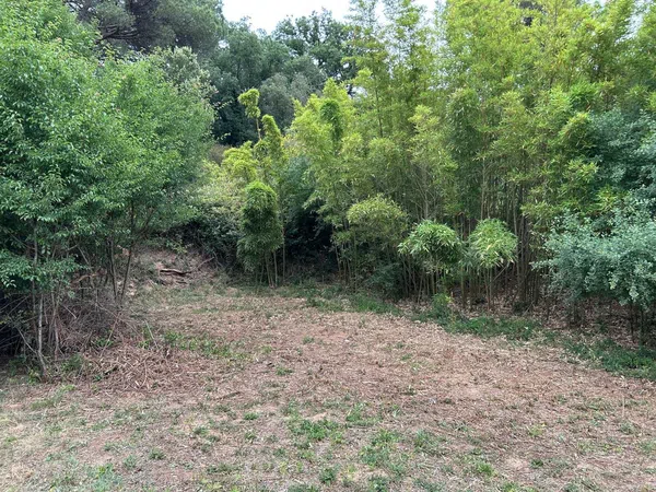 Casa terrera en Veral de Cal Negre, 19 - Foto 14