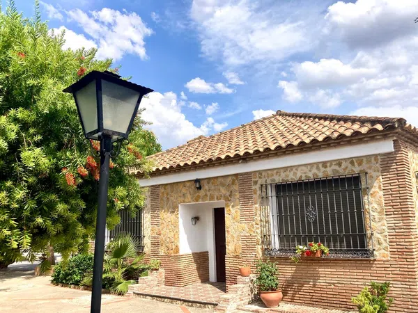 Casa o chalet independiente en Bda. de San José (Huertos Familiares), 175 - Foto 32