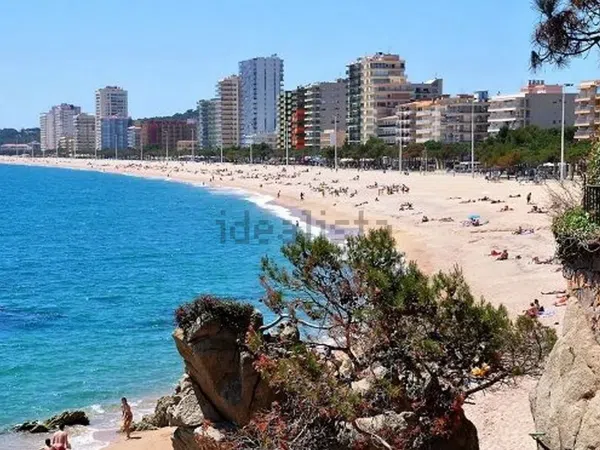 Estudio en Paseo Marítim, 166, Platja Llarga - Foto 13