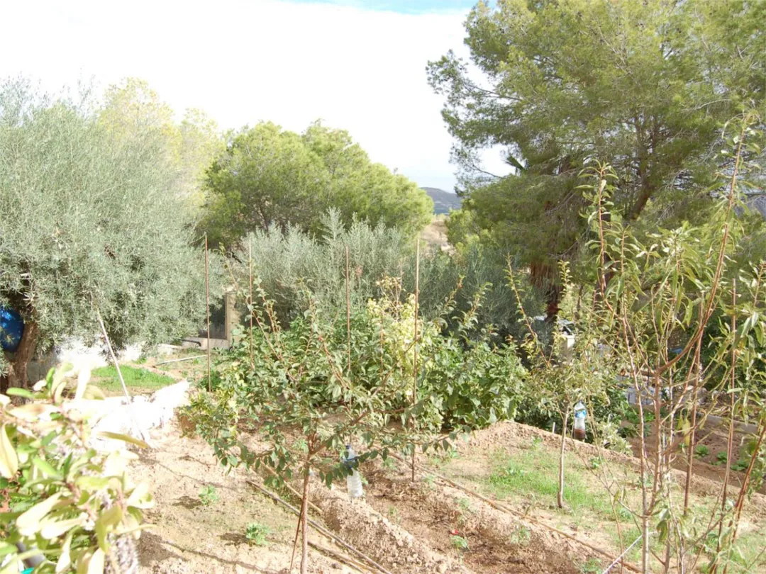 Chalet en  Urbanización la Pinada 37 - Foto 48