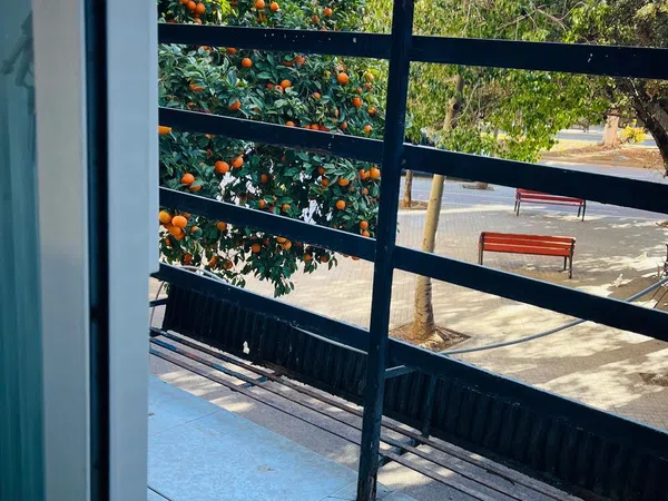 Piso en calle de Tirant lo Blanch, 25