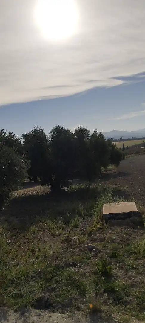 Finca rústica en  Carretera Córdoba - Málaga S-N - Foto 3