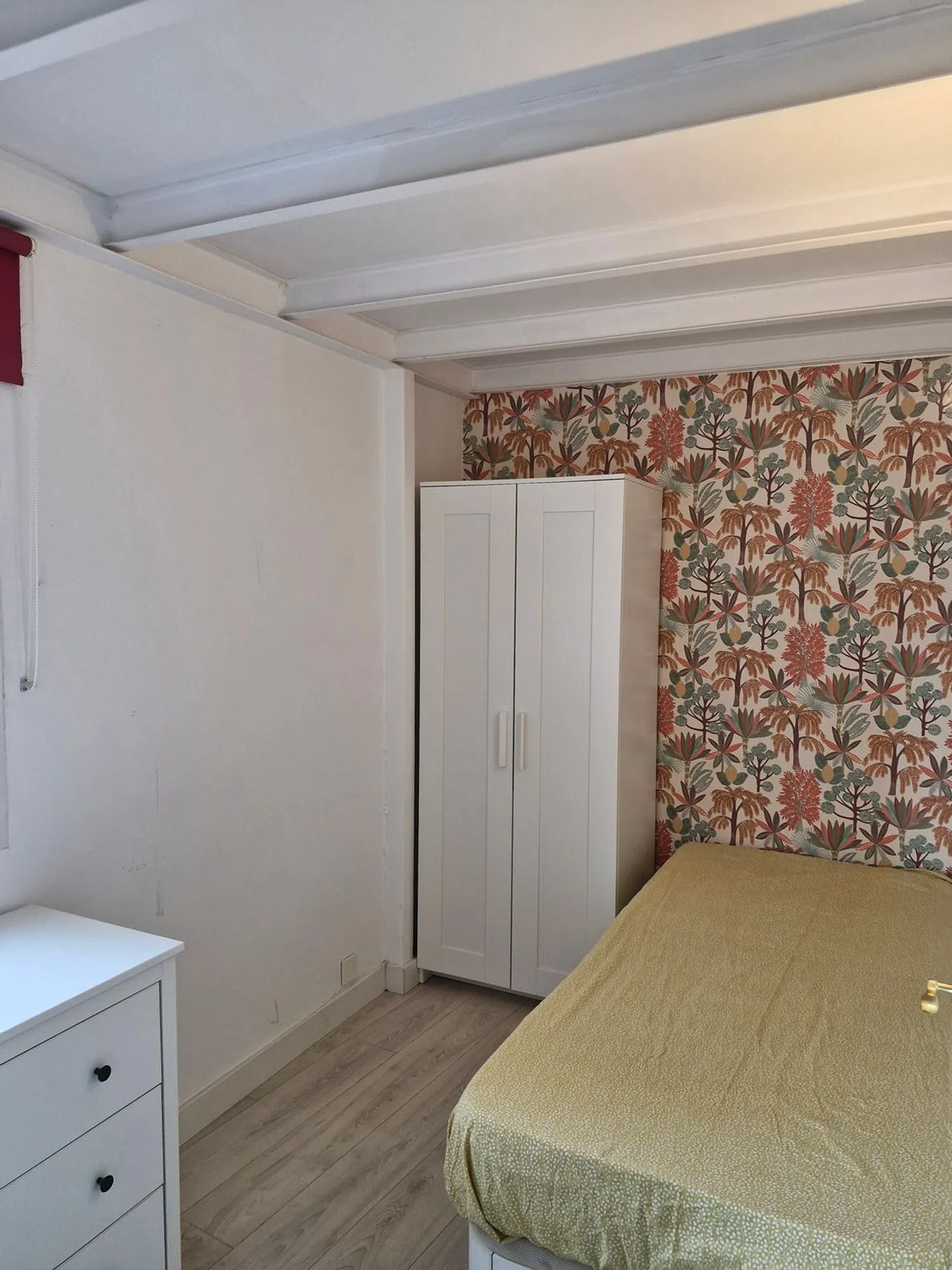 Estudio - Foto 16