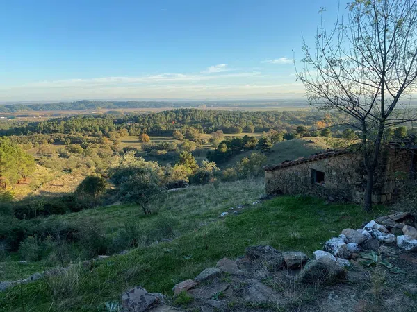 Finca rústica en Las Planas s/n - Foto 7