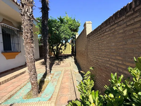 Casa o chalet independiente en Calle Antonio Rubio Herrera, 20 - Foto 4
