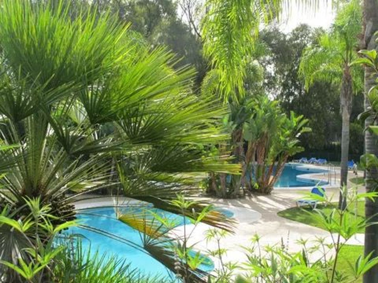 Piso en Avenida del Principe, 1, Bahía de Marbella - Foto 2