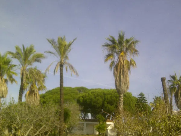 Casa independiente en calle Ceuta s/n - Foto 3