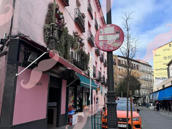 Estudio en Calle de la Torrecilla del Leal, 30, Lavapiés-Embajadores - Foto 13