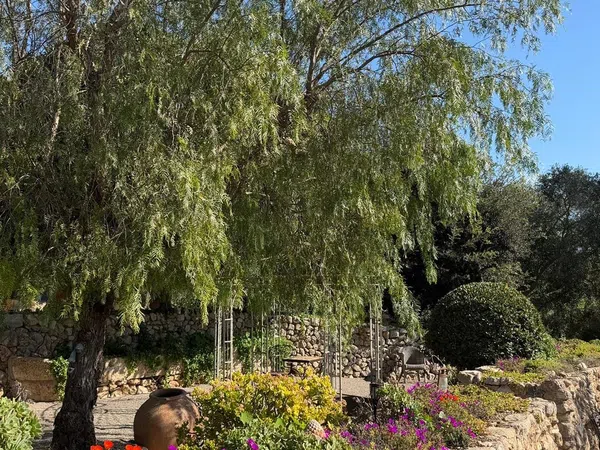 Casa rural en Poligono 2, 630 Parcela - Foto 38