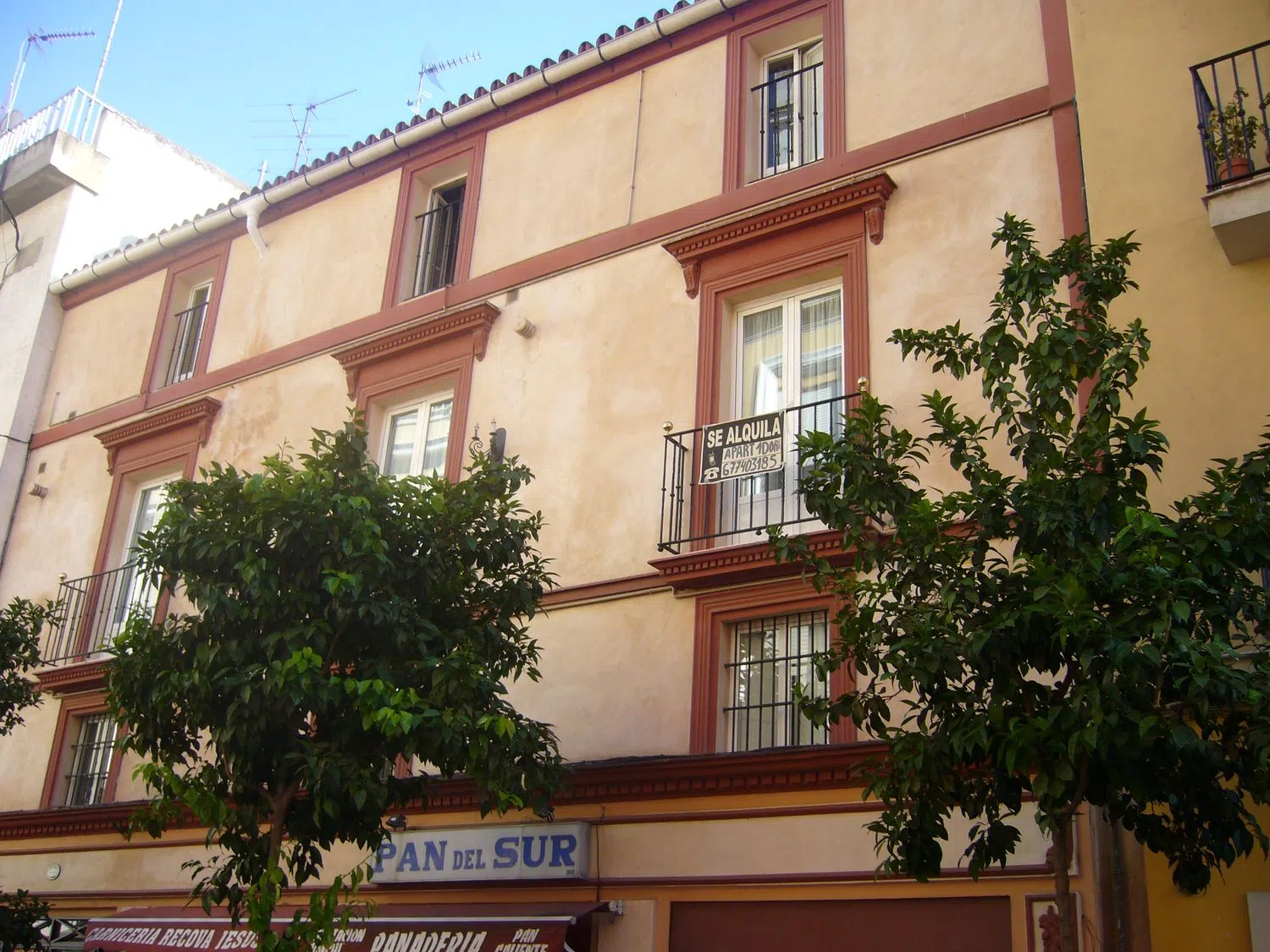 Estudio en calle Arfe, 22 - Foto 6