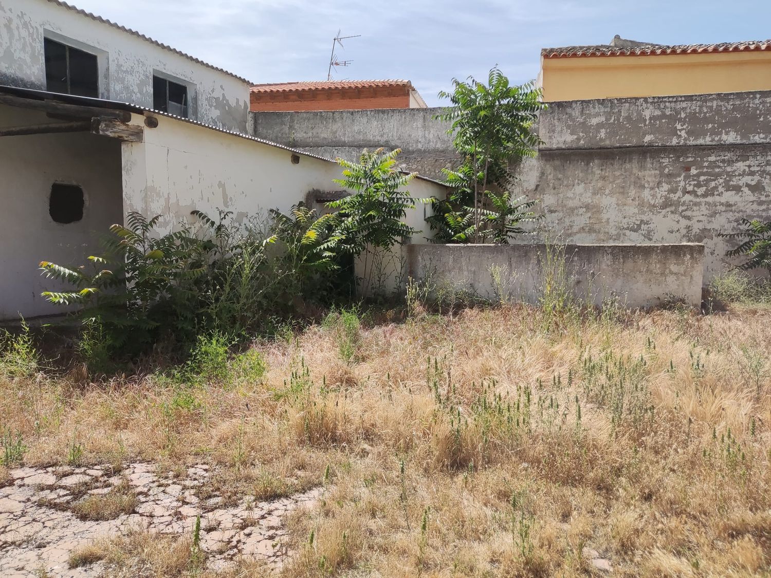 Casa de pueblo en Calle Mayor, 5 - Foto 4