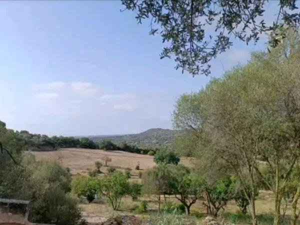 Finca rústica en Camino Vial, 747 - Foto 2