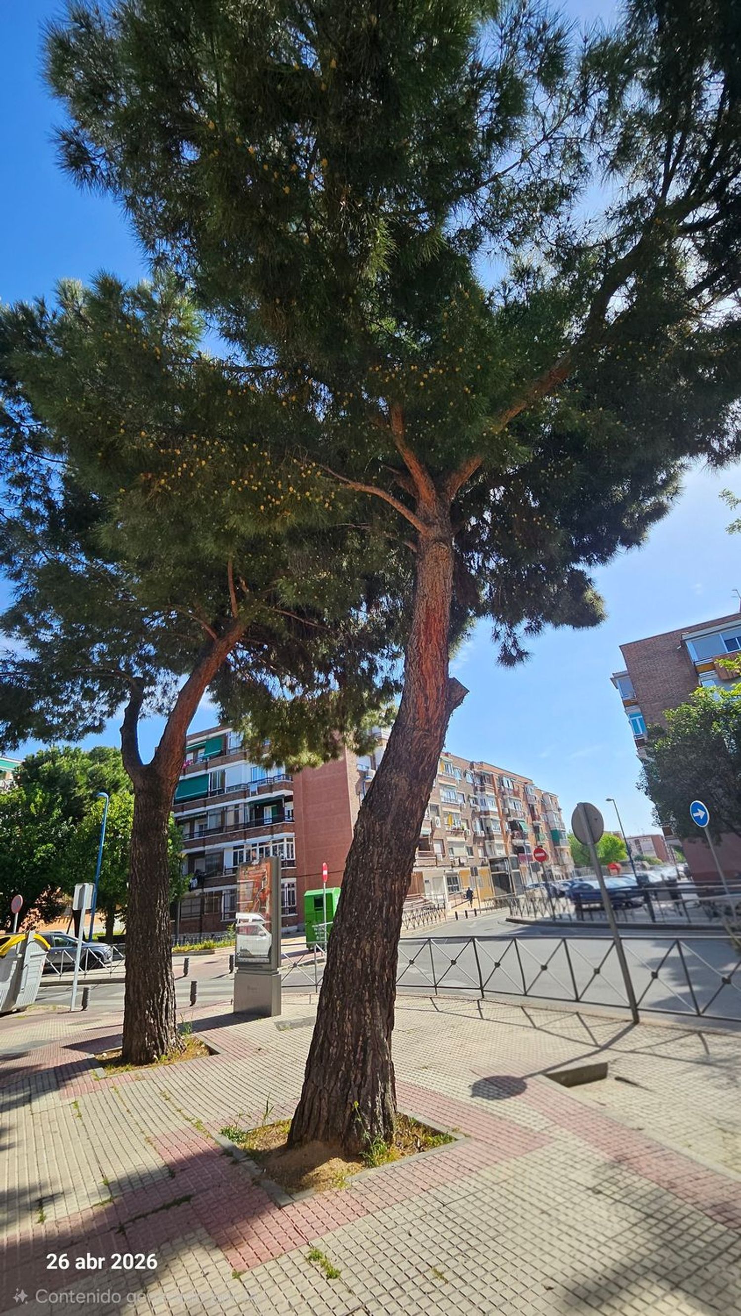 Piso en San Nicasio, San Nicasio - Foto 19