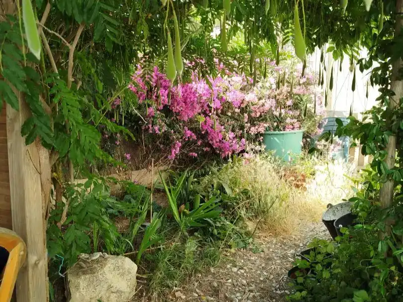 Chalet en  Carrer Pas 40 - Foto 7